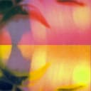 luko - sweet valley