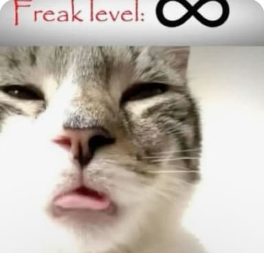 messoku's profile picture