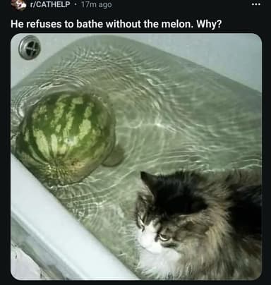 waalfer's profile picture