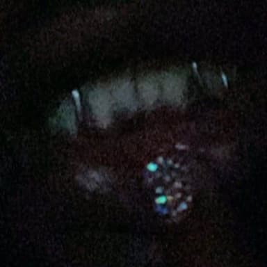 klauzinho's profile picture