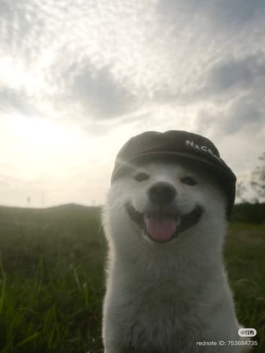 itsmxn's profile picture