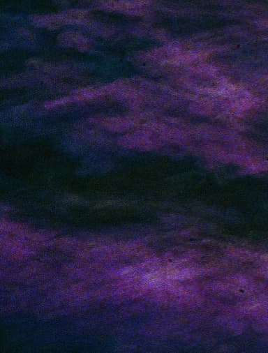 DMI's profile picture