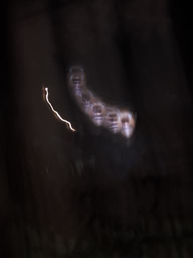zaddiedaproducer's profile picture