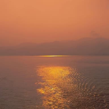 Orngehrtss's profile picture