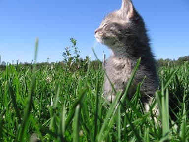 vermw.e's profile picture