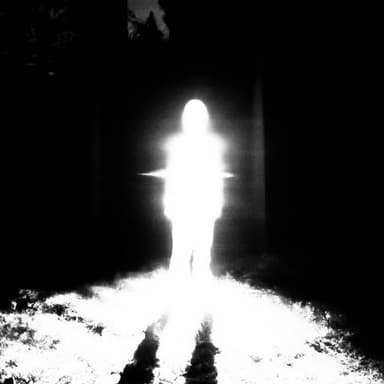 xam's profile picture