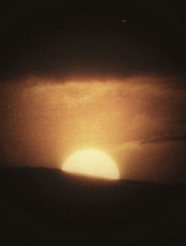 Anthony's profile picture