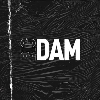 BigDam's profile picture