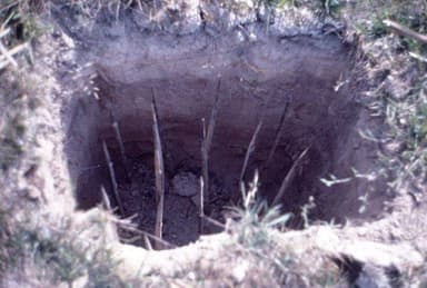 californiasober's profile picture