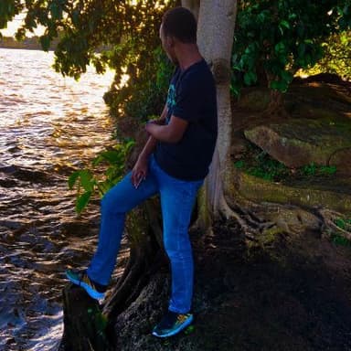 534NNYBOY's profile picture