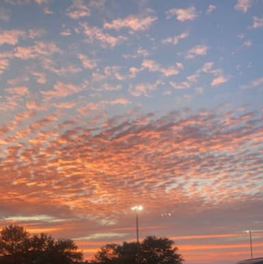 WHATSNEXTSYRR's profile picture