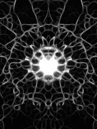 aladin__s's profile picture