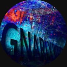 Gnarly_Waves's profile picture