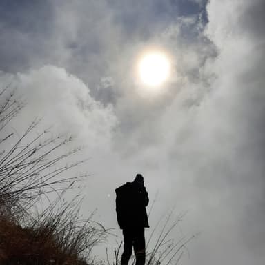 HNY's profile picture