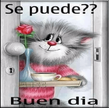 Nicol77's profile picture