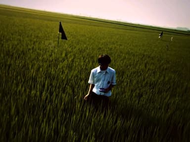 BangaLanga's profile picture