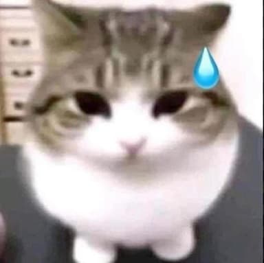p4nder's profile picture