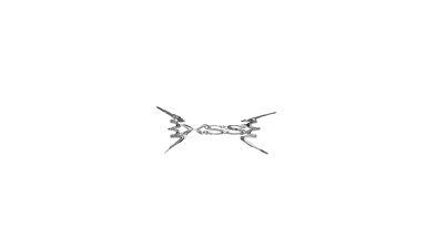 xssentric's profile picture