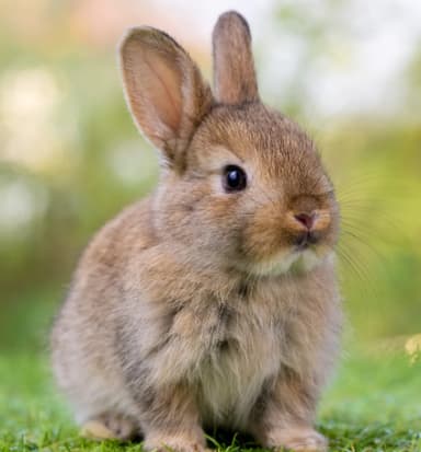 syrid's profile picture