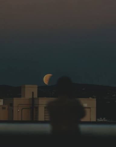 rishi's profile picture