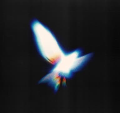 MajidBeats's profile picture