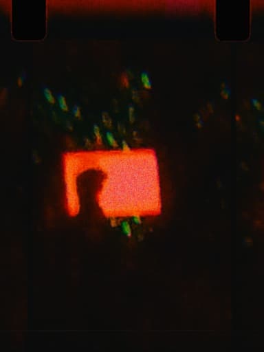 unknownboi.wav's profile picture
