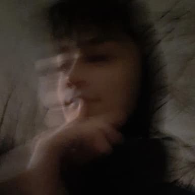 stefanshule's profile picture