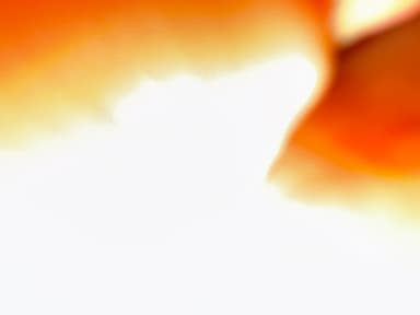 267's profile picture