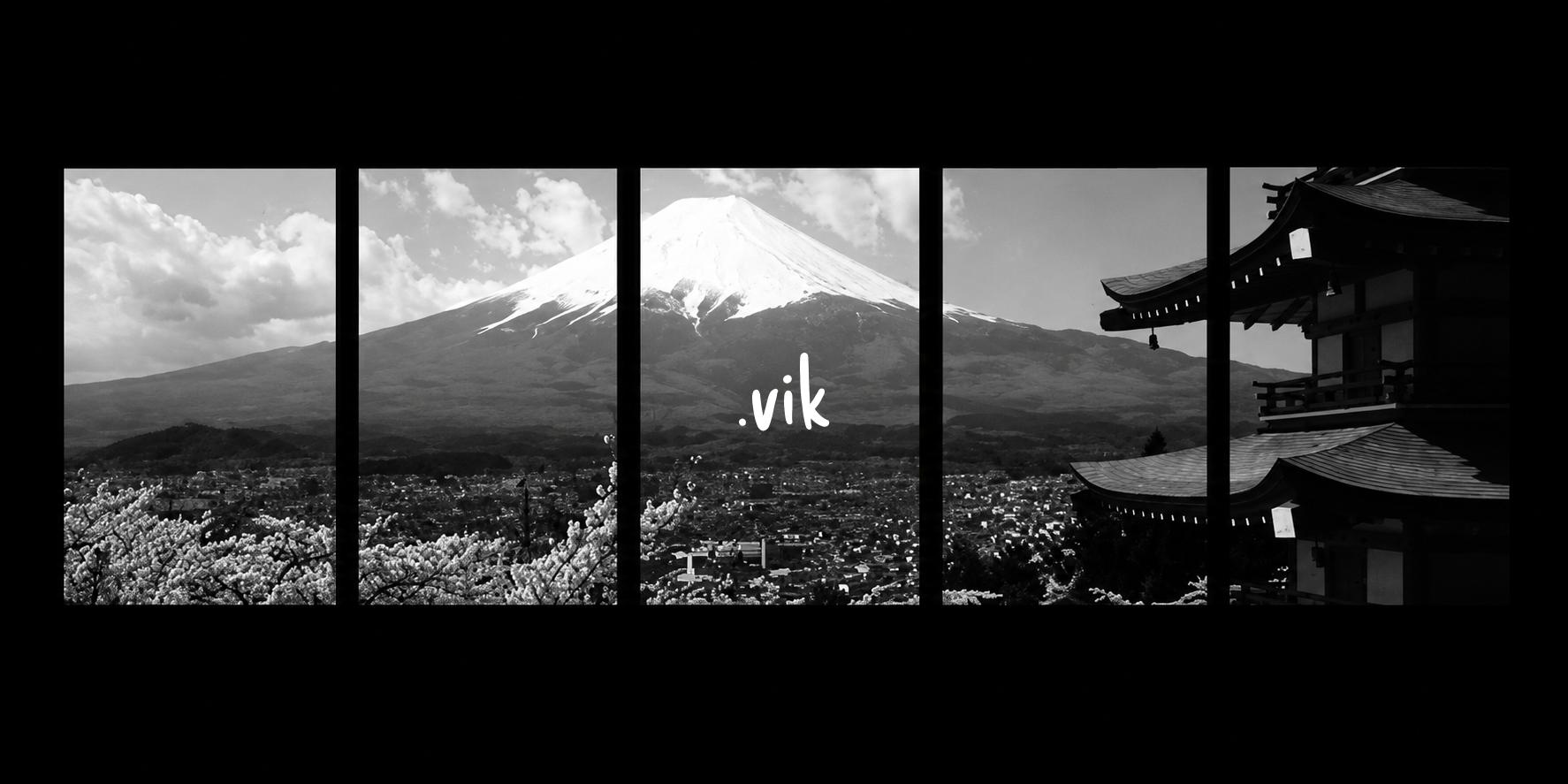 .vik profile hero