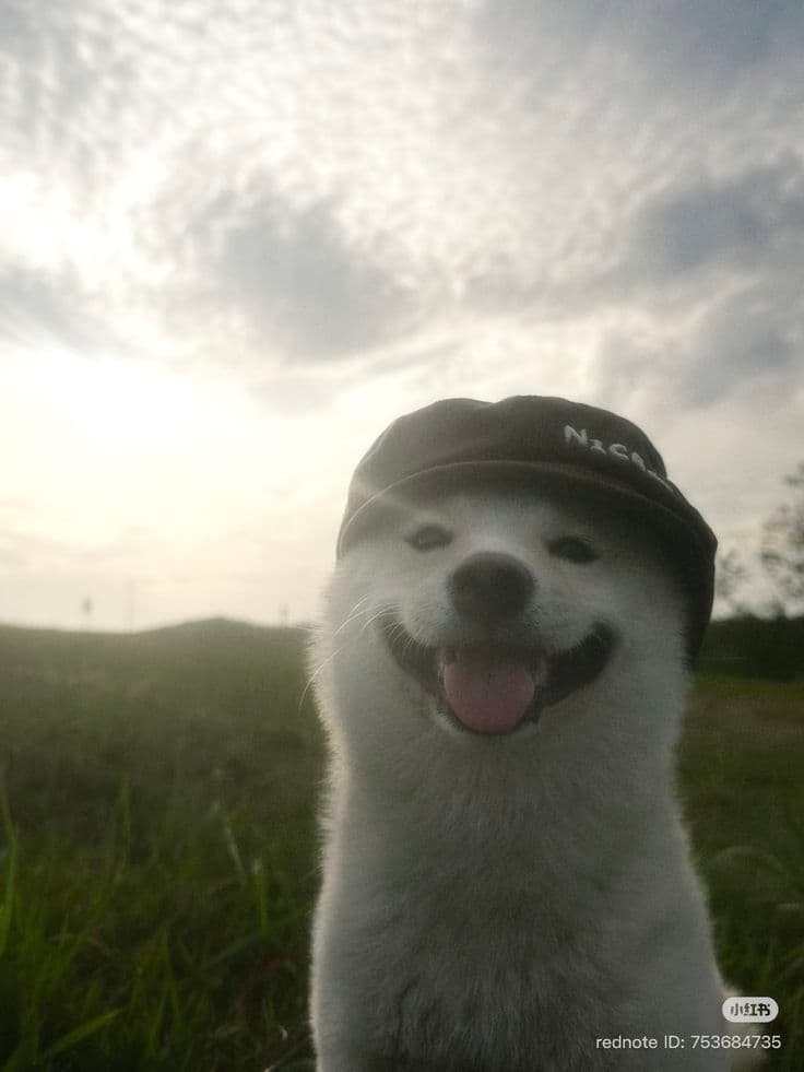 Producer