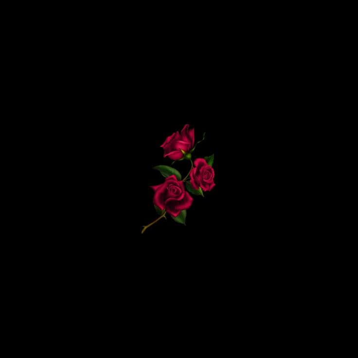 prodbynexis profile hero