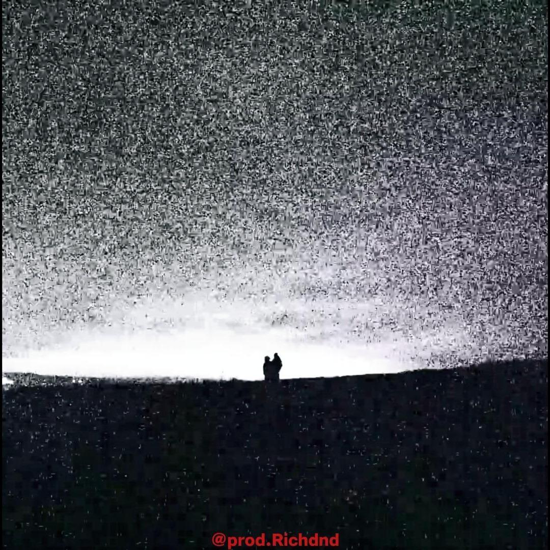 TOP TIER (Nemzzz x kidwild x Hoodtrap Type Beat)