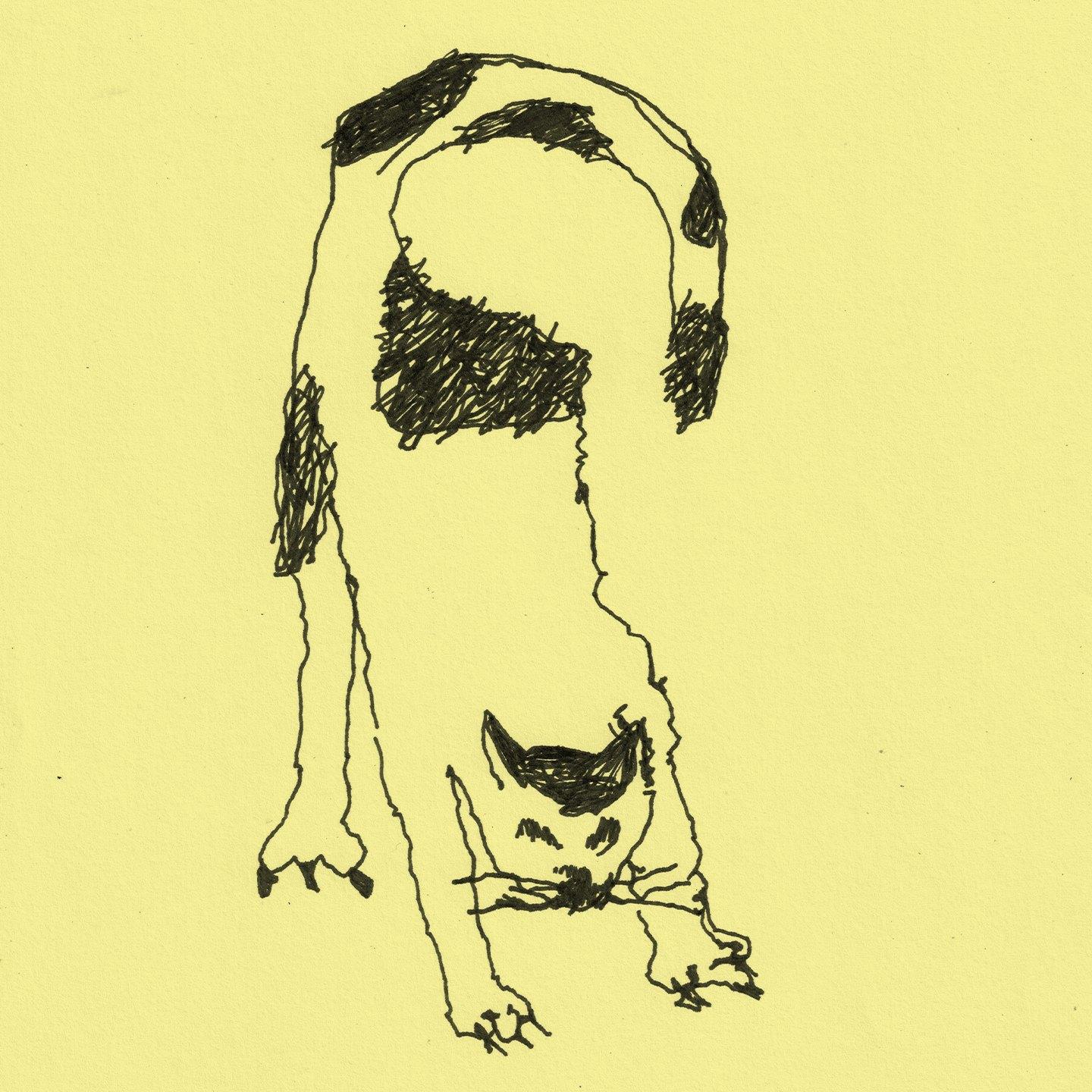 TOXIC artwork by off and in between