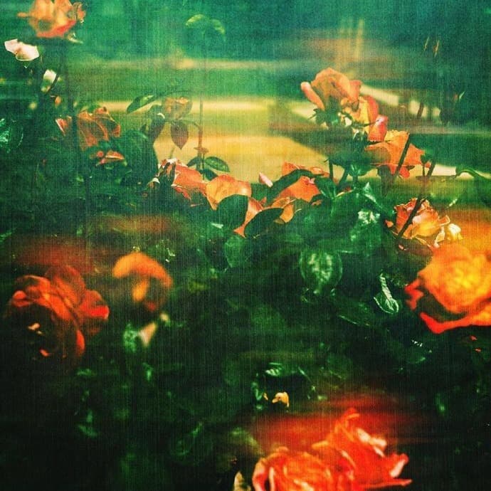 Curious Case artwork by kookup