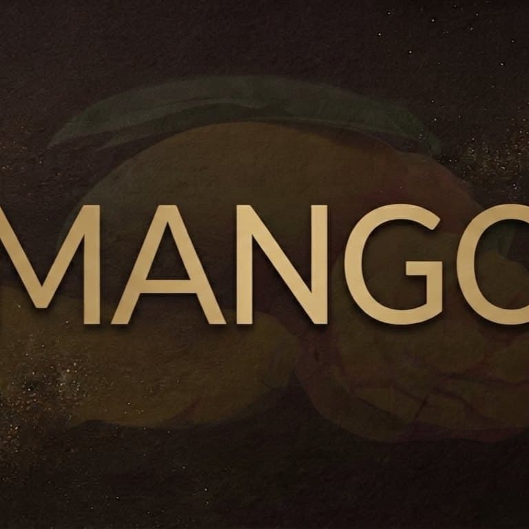 Mango (Prod. ANODA BANGA) artwork by NORTHFRAME_MUSIC