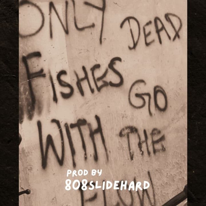 Flow State artwork by 808slidehard