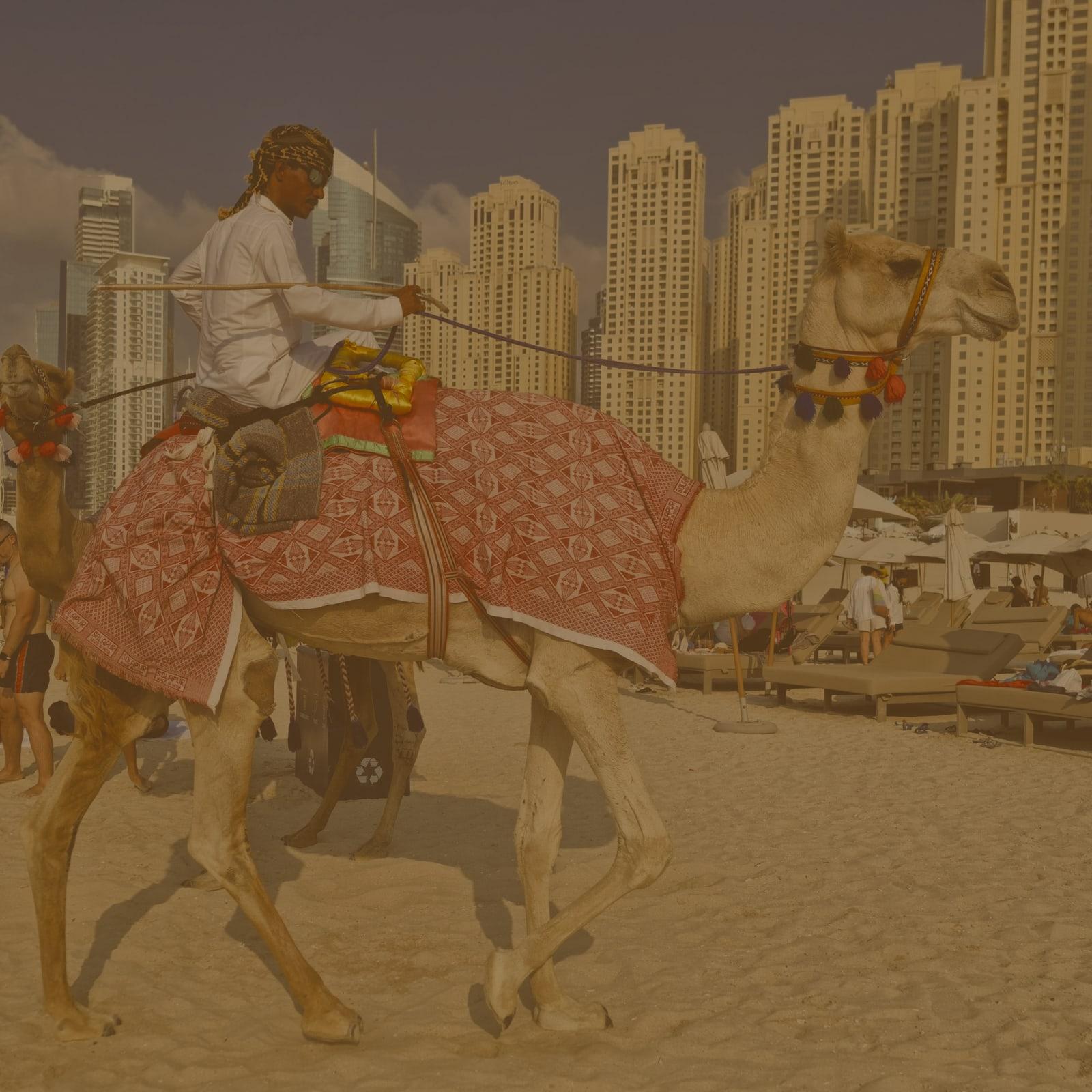 Arabic  Type Beat artwork by Zbeats