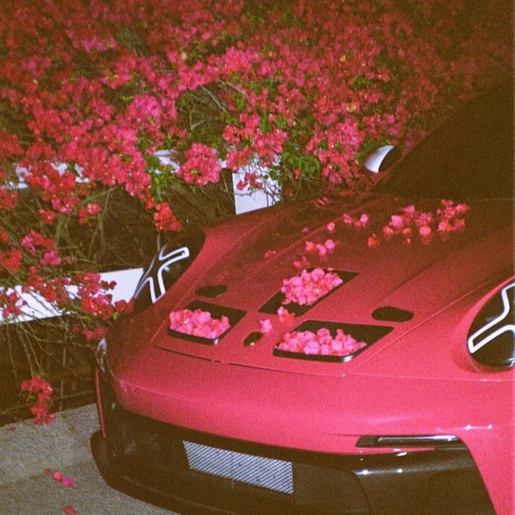 Pluggnb X Yeat X Riwavey TYPE BEAT - "So Blessed" Rap Trap Beat Instrumental artwork by ACPESO