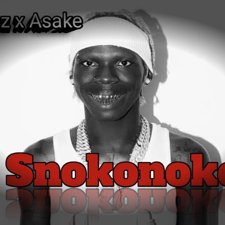 Snokonoko artwork by swarttranga06