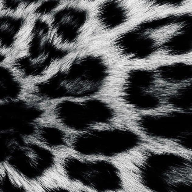 [fakemink] Leopardprint artwork by 5ive (at0mic)