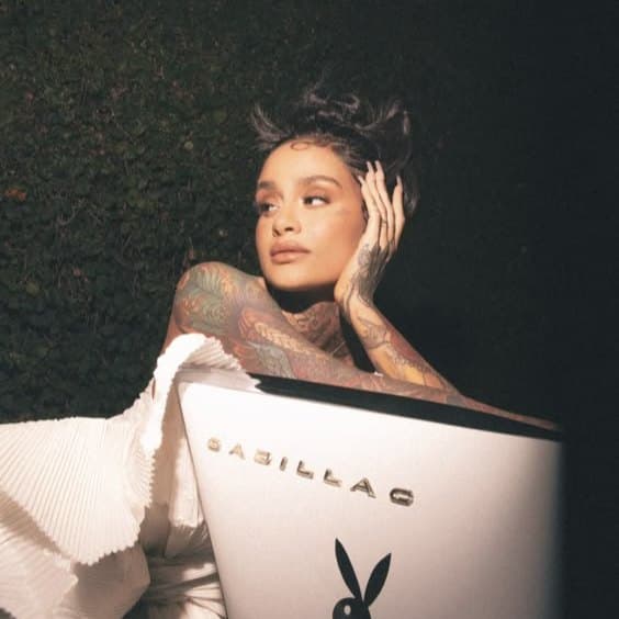 Brent Faiyaz x Kehlani Type Beat "queen" artwork by ZVINBEATS
