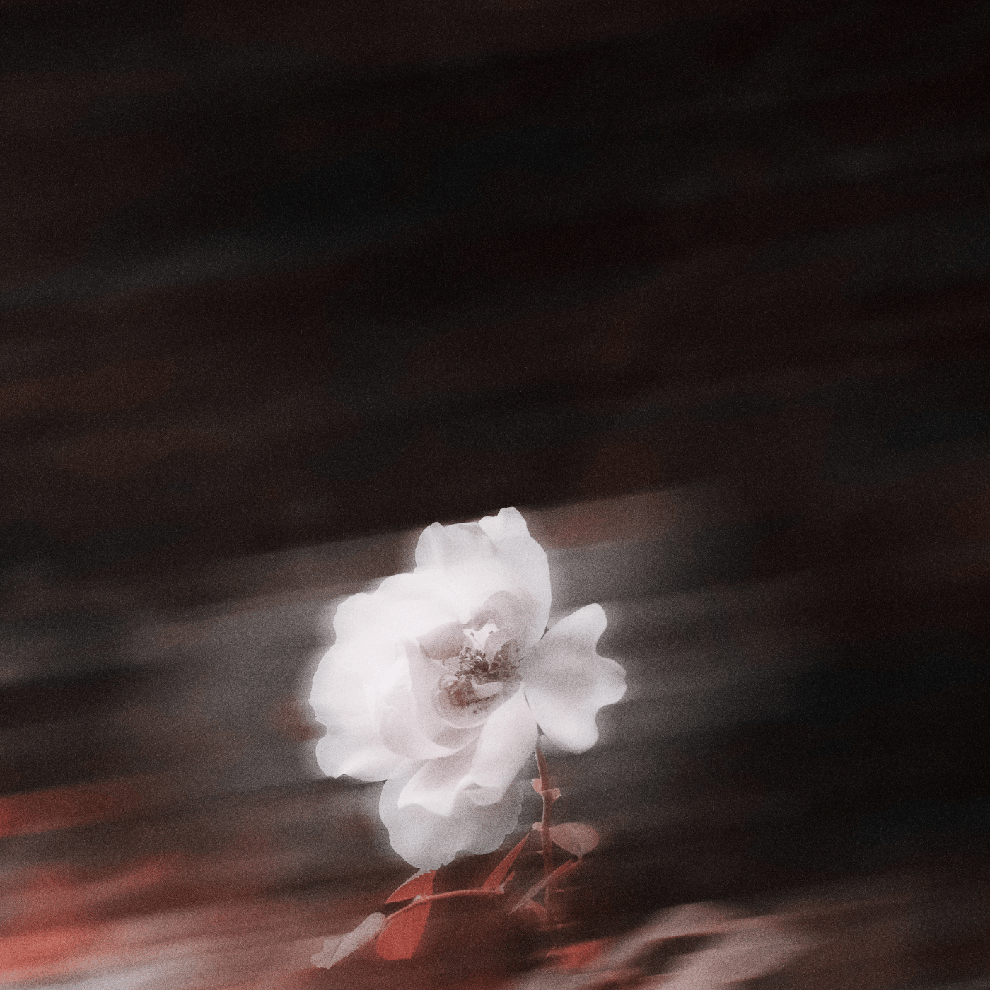 Smoke Break artwork by aly