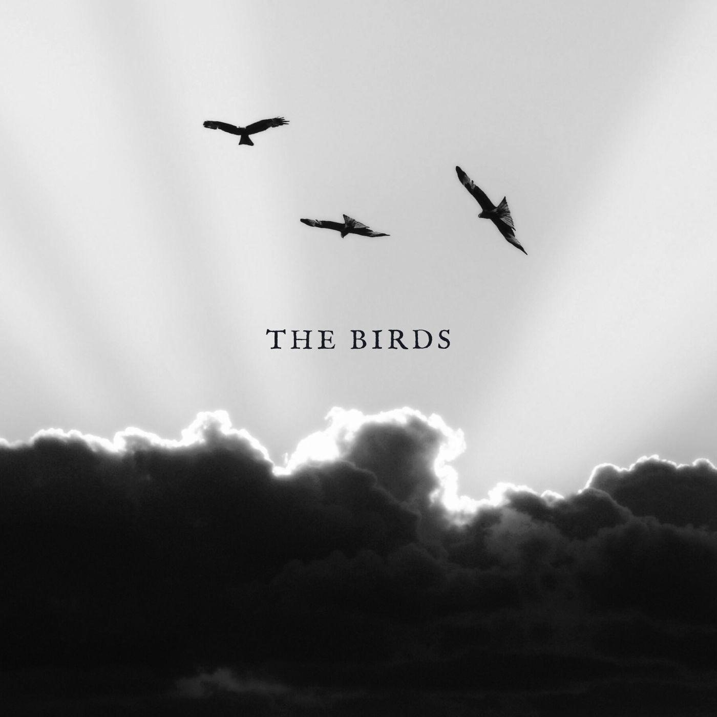 Playboi Carti x Future type beat; "The Birds" artwork by LukeATakeItAway