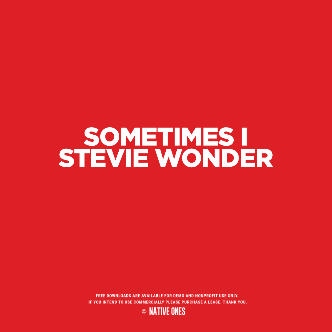 Sometimes I Stevie Wonder artwork by IAMCL