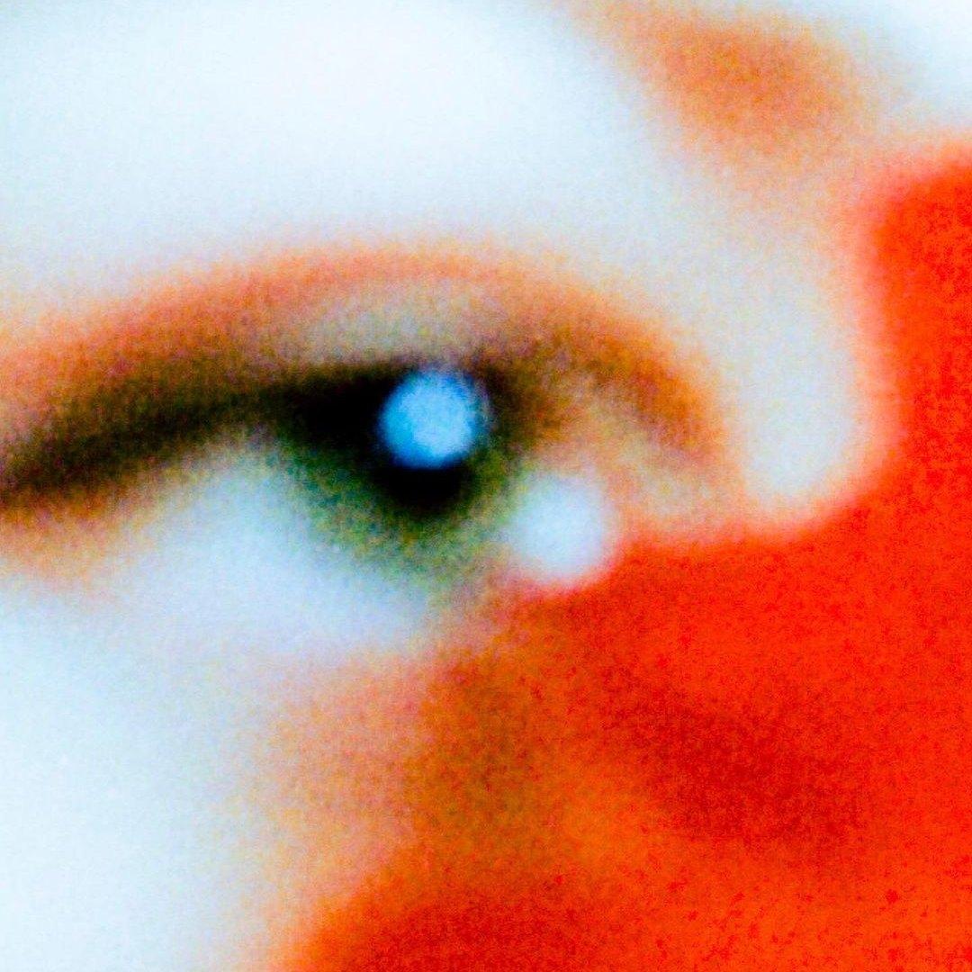 Close Detail artwork by modela