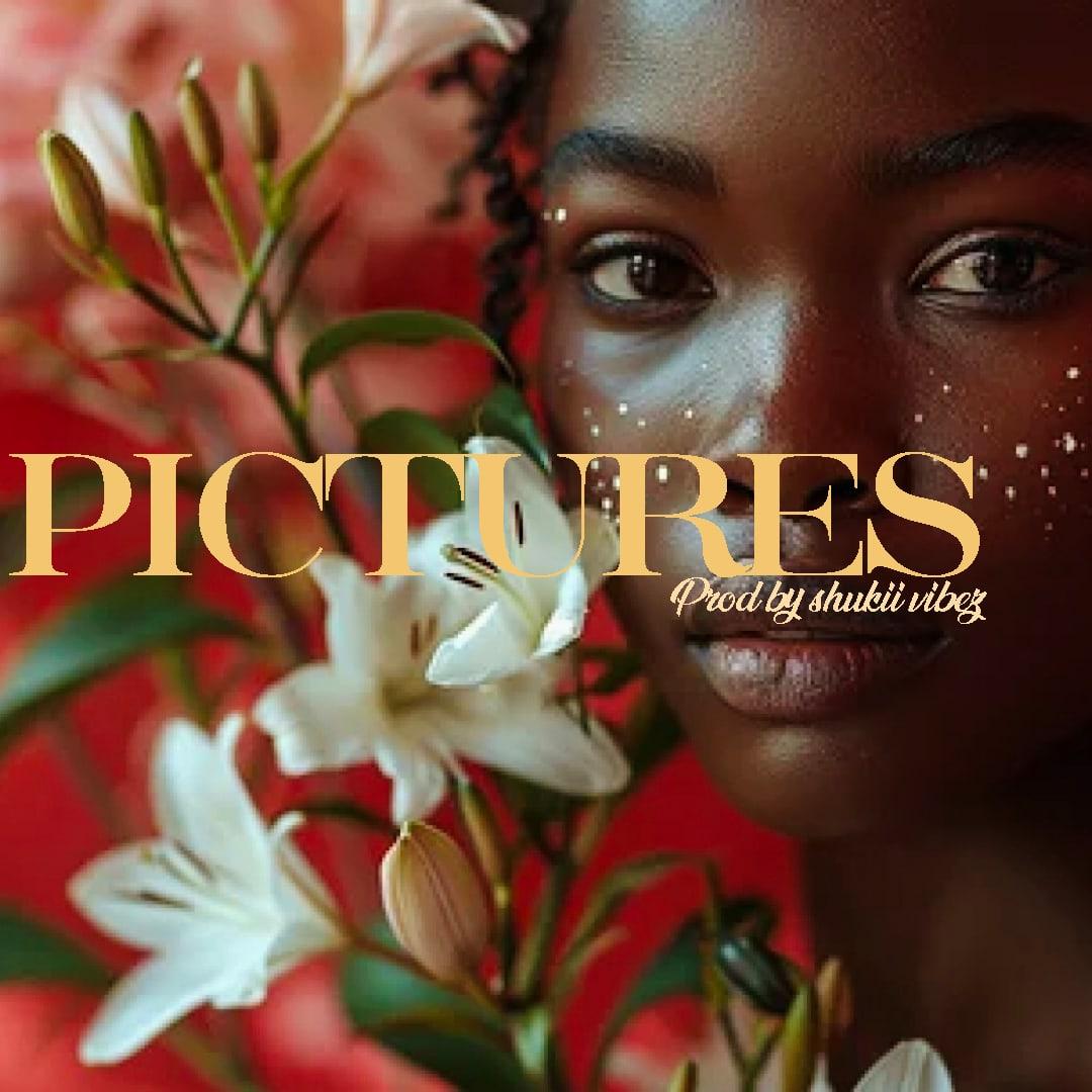 PICTURES artwork by Shukii Vibez