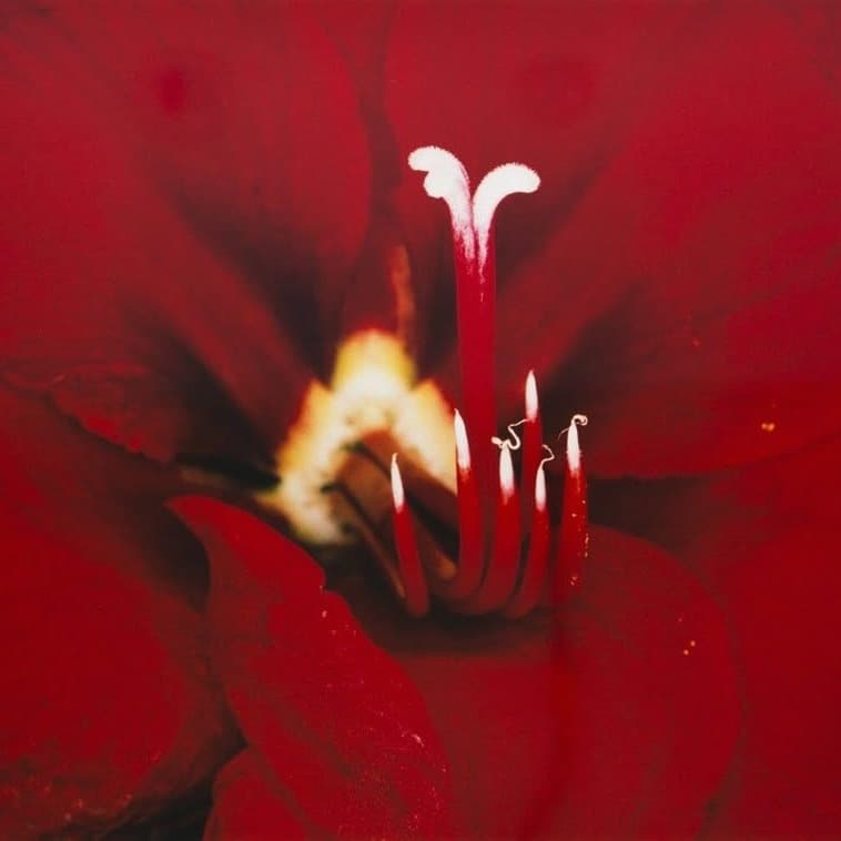 Slipping Thru Your Fingers artwork by kookup