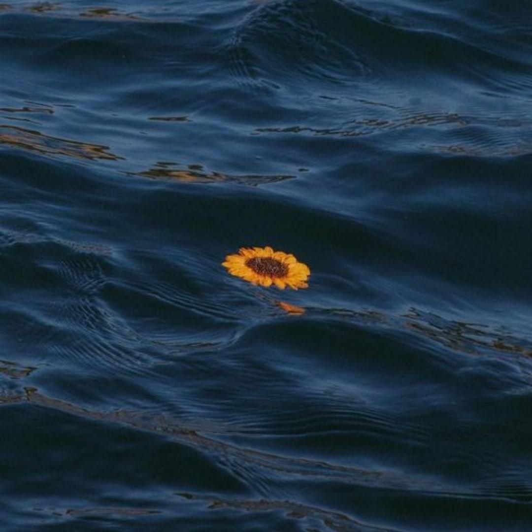 Don't Trust Me artwork by modela