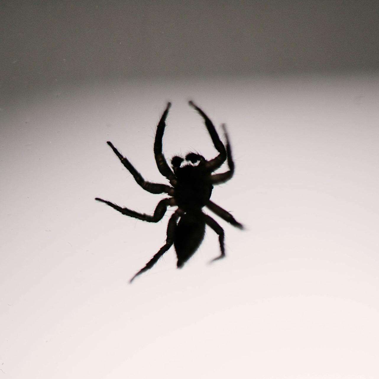 Fear - Baby Keem @adilsonlucau