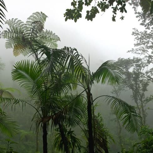 [izaya tiji, emotional] Times 135 ebm (@krusssssssssssssss) artwork by kruss